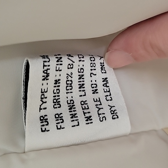 Saga Blue Fox - Picture 7 of 9